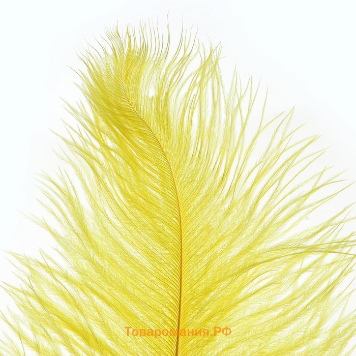 Перо для декора, размер: 25-30 см, цвет жёлтый