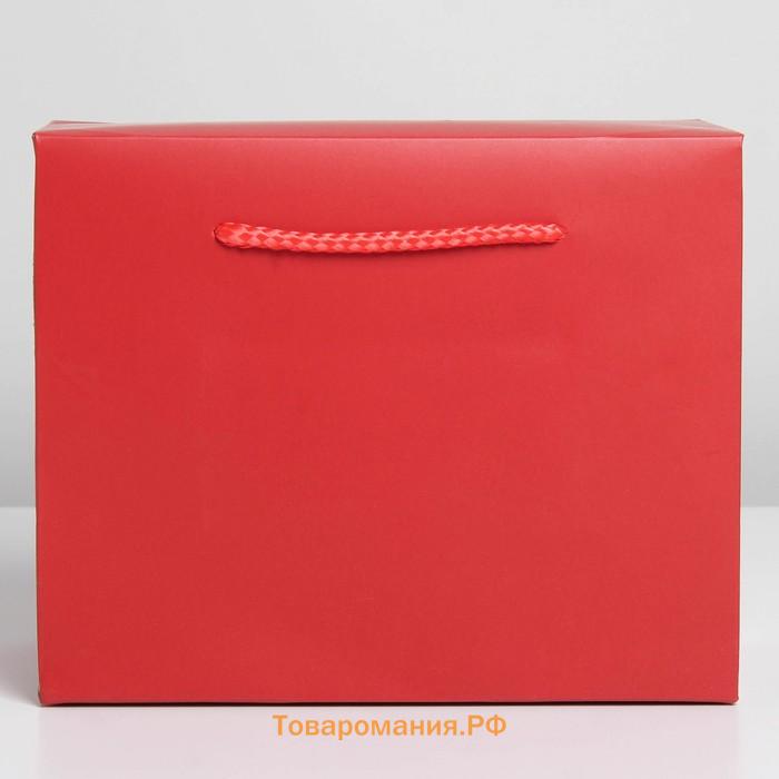 Пакет—коробка «Красный», 28 × 20 × 13 см