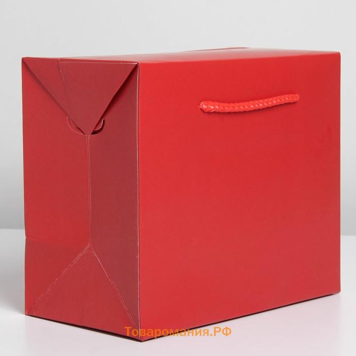 Пакет—коробка «Красный», 28 × 20 × 13 см