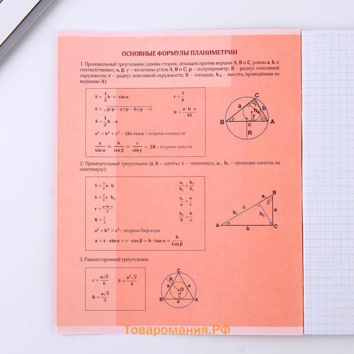 Тетрадь предметная 48 листов, А5, ВЕЛИКИЕ ЛИЧНОСТИ, со справ. мат. «1 сентября: Геометрия», обложка мелованный картон 230 гр внутренний блок в клетку  белизна 96%