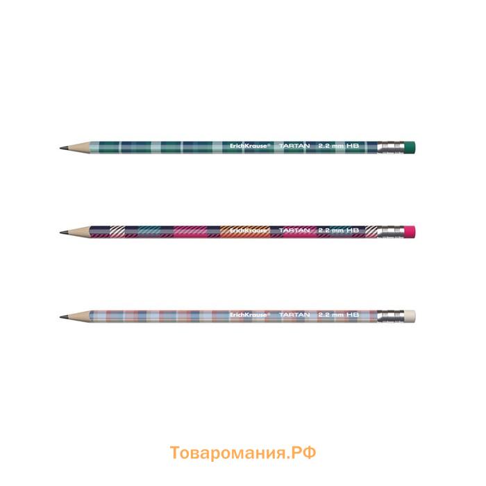 Карандаш чернографитный, ErichKrause «Tartan», с ластиком, HB, d=2.2, трехгранный с принтом, дерево, в тубусе, микс