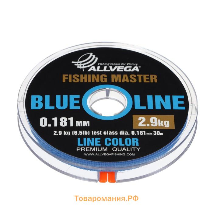 Леска монофильная ALLVEGA Fishing Master, диаметр 0.181 мм, тест 2.9 кг, 30 м, голубая