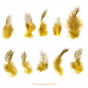 Набор перьев для декора 10 шт., размер 1 шт: 5 × 2 см, цвет жёлтый с коричневым