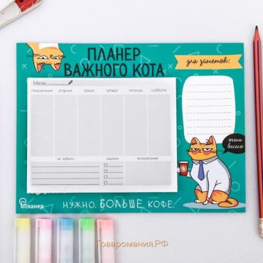 Планер на магнитах с отрывными листами «Планер важного кота», 50 л., 15 х 20 см (размер части для заполнения 10 х 13 см)