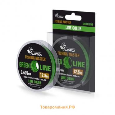 Леска монофильная ALLVEGA Fishing Master, диаметр 0.405 мм, тест 12.5 кг, 30 м, зеленая