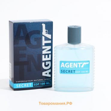 Парфюмерная вода мужская Agent Secret, 100 мл (по мотивам Blue Label (Givenchy)